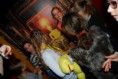 /album/detske-muzeum-27-2-2015/detske-muzeum014-jpg/
